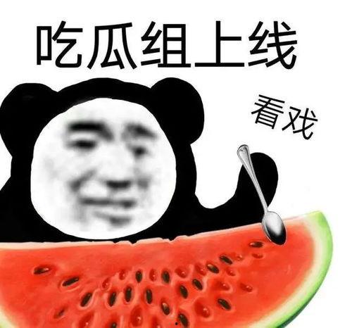 吃瓜时间到,吃瓜时间背后的真相与内幕